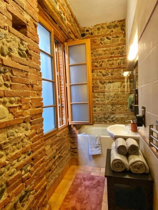 Cocon Cosy Dans La Ville Rose Toulouse Exterior photo