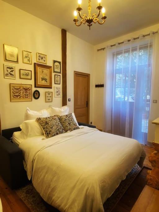 Cocon Cosy Dans La Ville Rose Toulouse Exterior photo